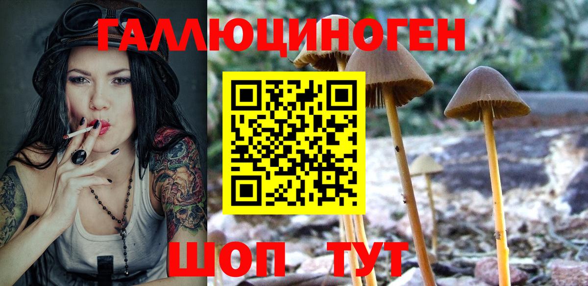 закладка  Вход с VPN  Электрогорск  Галлюциногенные грибы мицелий 